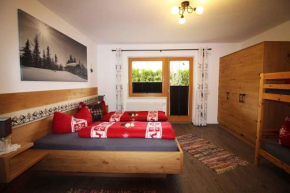 Отель Apartment Zell am Ziller/Zillertal 842  Хайнценберг